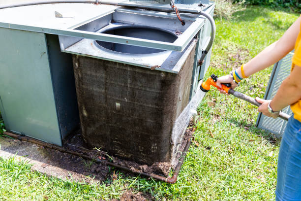 Best Air Duct Mold Removal  in Parkway, CA