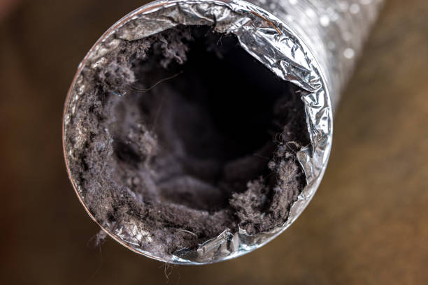 Best HVAC Duct Inspection Services  in Parkway, CA