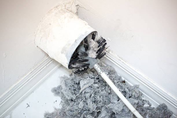 Best Local Air Duct Cleaning Services  in Parkway, CA